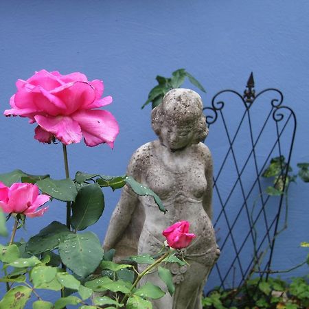No.31 B&B Im Rosengarten Kapellen-Drusweiler Ngoại thất bức ảnh