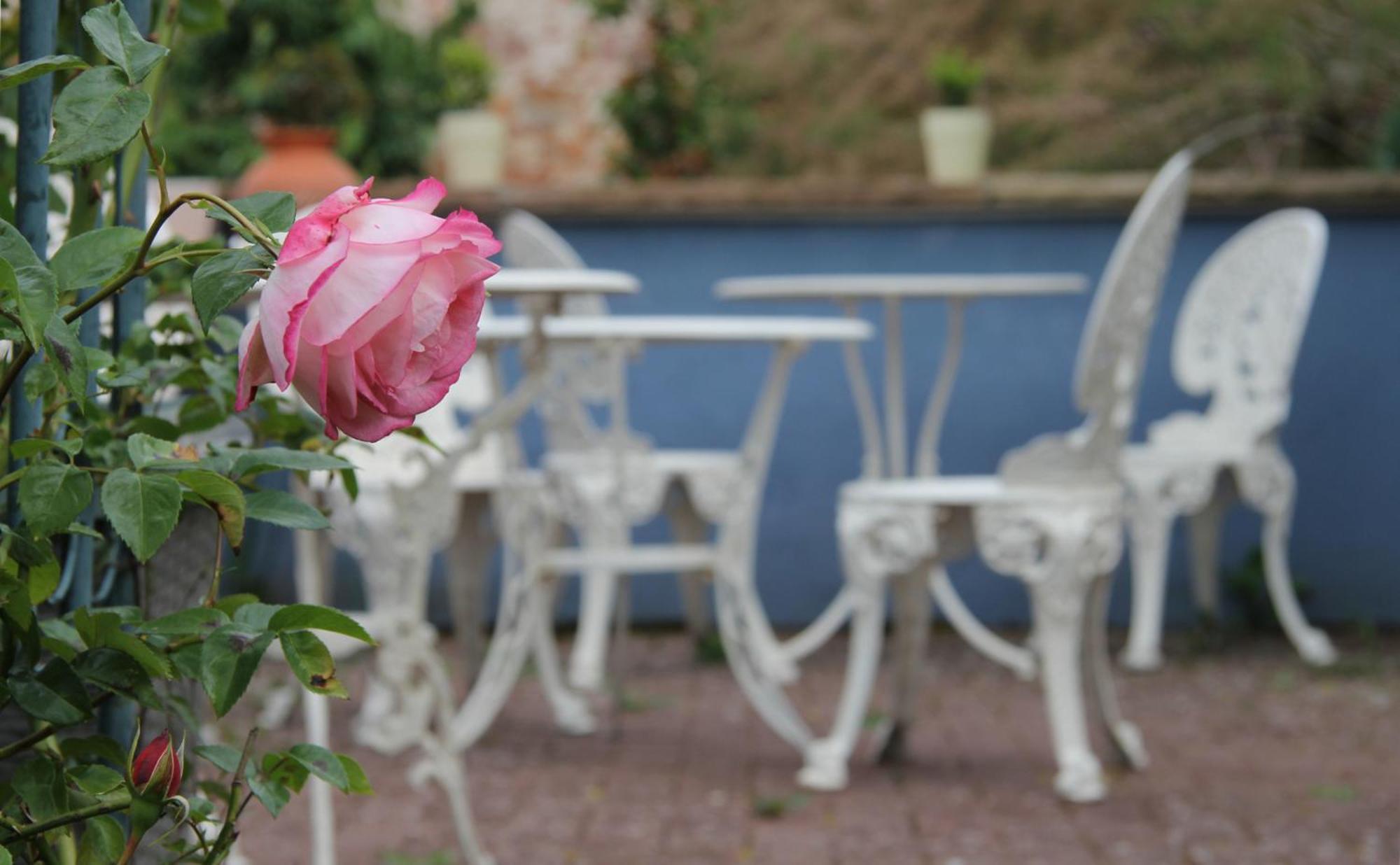 No.31 B&B Im Rosengarten Kapellen-Drusweiler Ngoại thất bức ảnh