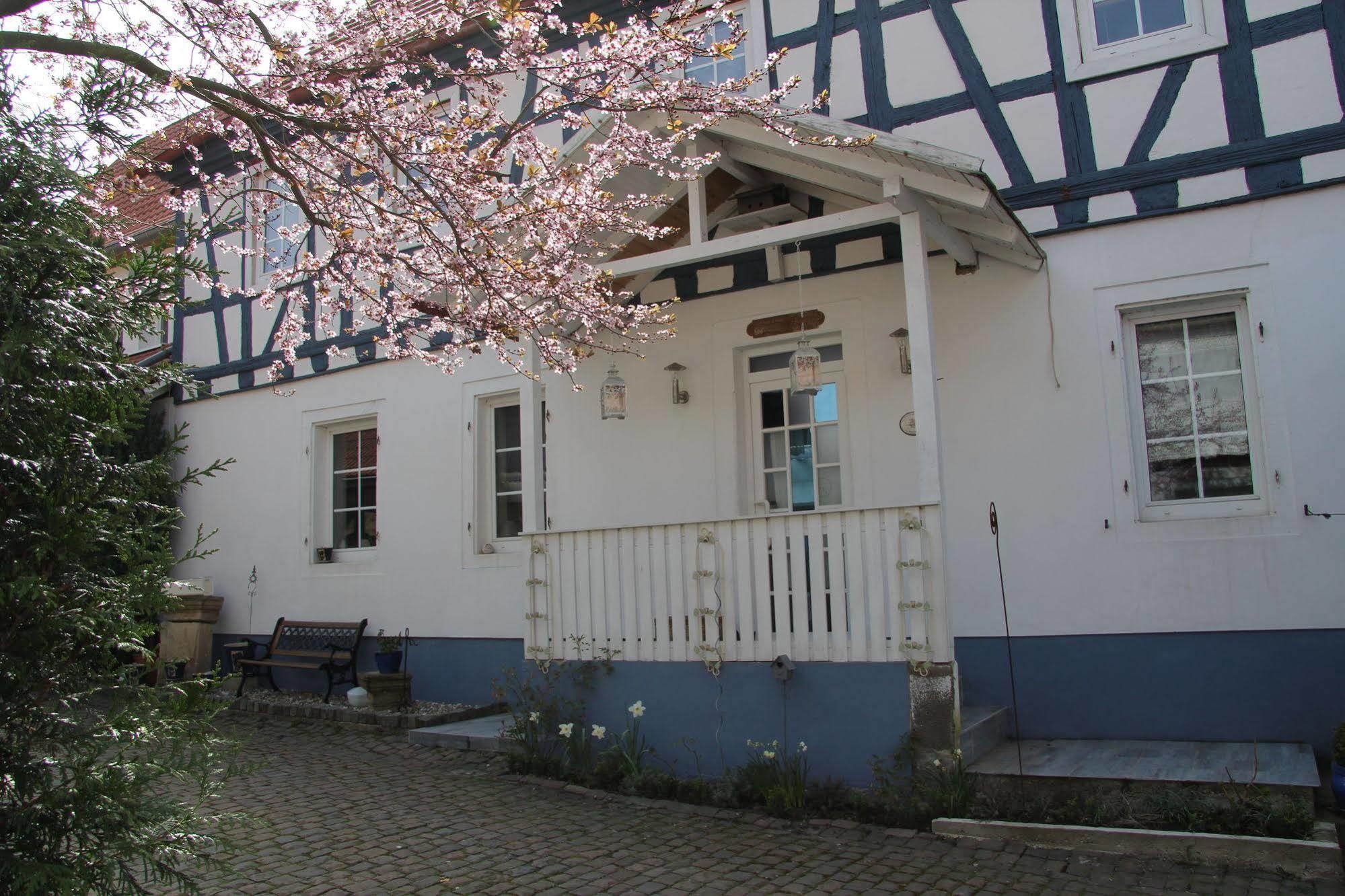 No.31 B&B Im Rosengarten Kapellen-Drusweiler Ngoại thất bức ảnh
